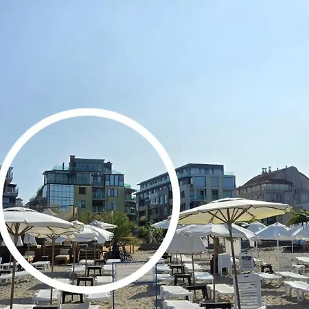 алекс 3 Pomorie
